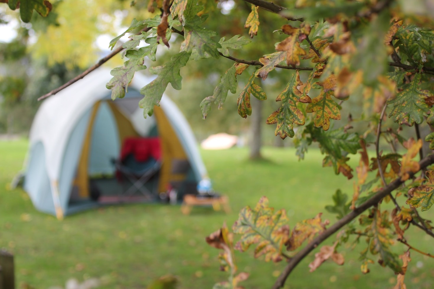 Exploring Nature: A Beginner’s Guide to Camping